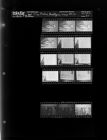 Troy Dodson; Book Pages; Group Photo (15 Negatives) March 17 - 18, 1965 [Sleeve 44, Folder c, Box 35]